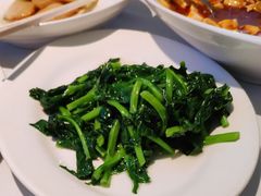 清炒豌豆尖-苏浙汇(北京英蓝店)