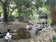 -成都市活水公园