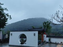 -南京老山国家森林公园