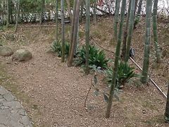 -故乡缘·香格里拉山庄(冷竹路店)