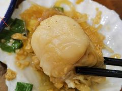扇贝-鼎丰酒家·洋口宴(小洋口店)