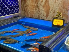 -万宝海鲜舫(劳动公园店)