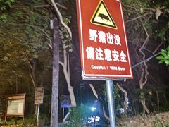 -紫金山山顶公园