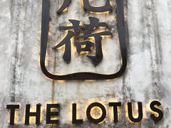 -几荷·恰似故人来(秀水广场店)