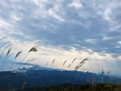 -惠东观音山