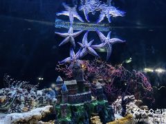 -海合安天津极地海洋公园