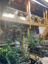 -小红帽摄影(丽江店)