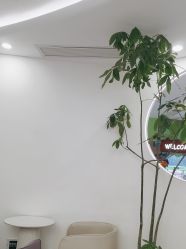 -小阿福儿童摄影(摩尔城店)