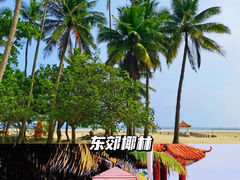 -东郊椰林