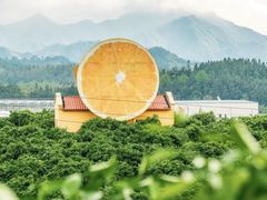 -金钉子远古世界景区