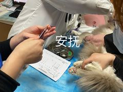 -宠福鑫动物医院(城北分院)