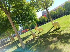-民园广场