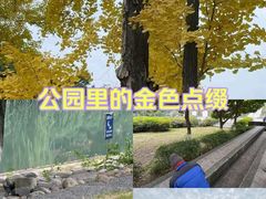 -沙河三洞古桥公园