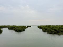 -北海金海湾红树林生态旅游区