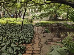 -晓港公园