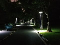 -五缘湾湿地公园