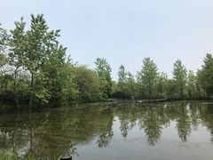 -溱湖国家湿地公园