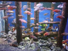 -威海华夏城景区