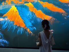 -罗红摄影艺术馆