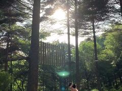 -洛阳白云山景区