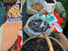 -王顺山国家森林公园