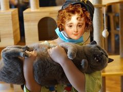 大堂-喵园·猫主题咖啡厅·撸猫·猫咖(国贸店)