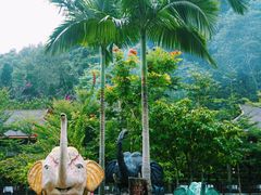 -西双版纳原始森林公园