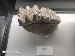 -湖南省地质博物馆