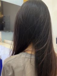 -YESIDO椰岛造型