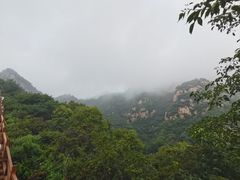 -大岭沟猕猴桃谷风景区