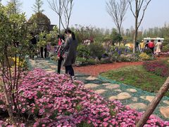 -上海长兴岛郊野公园