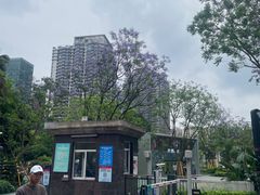 -观音桥步行街