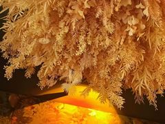 -Blue蓝觅女子SPA•私密养护会所(吉大店)