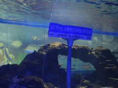-常州海昌海洋探索馆