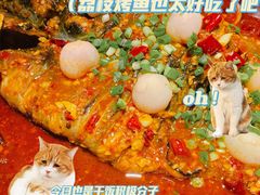 -鱼酷活鱼烤鱼(沈阳大悦城店)