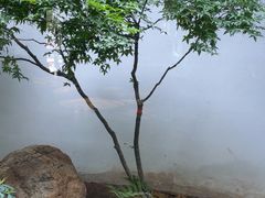 -花迹(富春江东街店)