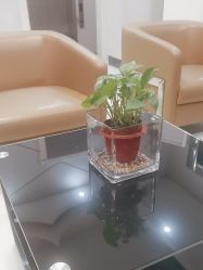 -悦润荟美容抗衰中心