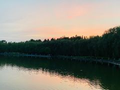 -五环公园