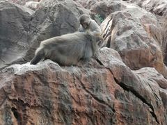 -昆明动物园