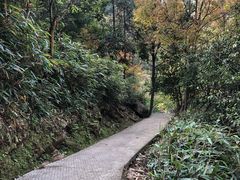 -百杖潭景区