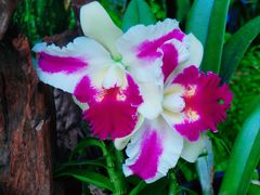 -北京植物园-展览温室