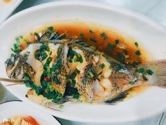 -金海湾海鲜排档(朱家尖店)