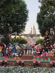 -翱翔飞越地平线