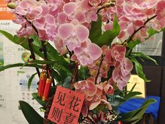 -双子楼大酒店(城开国际写字楼店)