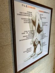 -广州萨谛艾扬格瑜伽中心