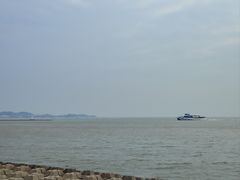 -野狸岛