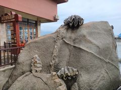 -海南分界洲岛旅游区