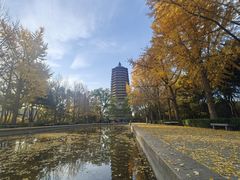 -玲珑塔公园