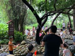 -成都市活水公园