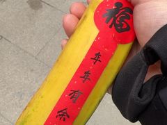 -钦赐仰殿道观